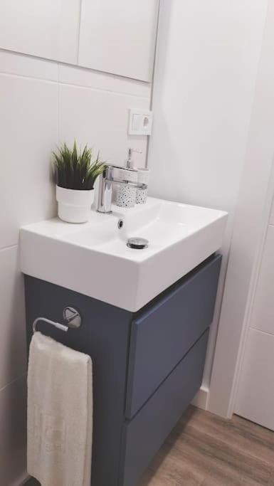 Jara Mar Appartement Torrevieja Buitenkant foto